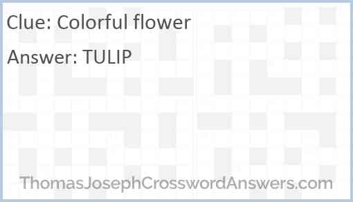 Colorful flower Answer